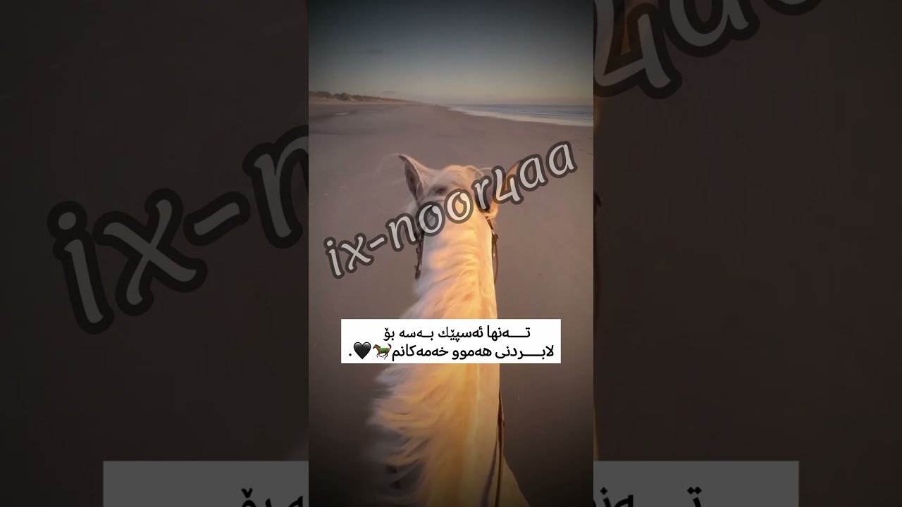 تــــــەنها ئــــەسپێــــــ🐎ـــك...اکک🖤.#foryou