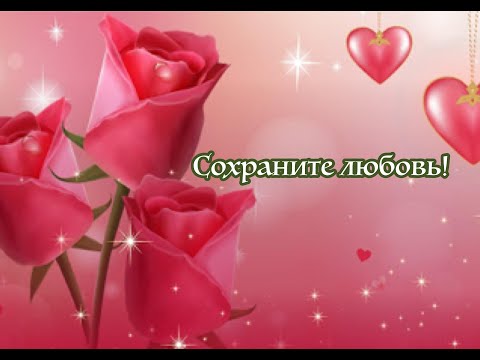 Сохраните любовь Елена Ваймер