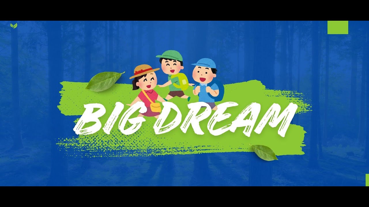 QUE ES: BIG DREAM
