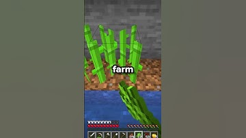 How To Get Started On This Public SMP #shorts #minecraft #smp