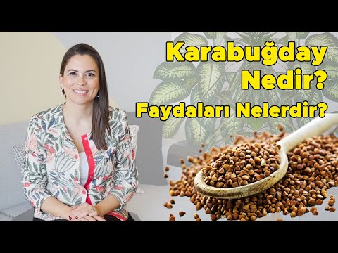 Kara Buğday Nedir? Kara Buğdayın Faydaları Nelerdir?