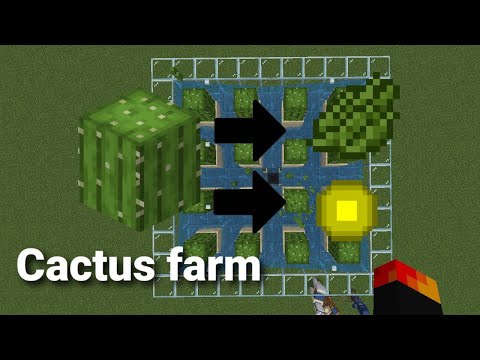 Como hacer una granja de cactus 🌵 (+ Ampliable ) // 1.16-1.17-1.18 // Minecraft Bedrock y Java