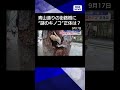 【ニュース】青山通りに“謎キノコ” 一等地の街路樹に「キクラゲみたい」その正体は#shorts