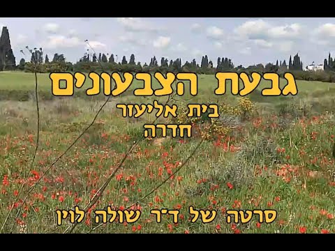 וִידֵאוֹ: בגיר לבן על לוח: היומי הליבריאני The Daily Talk והמוציא לאור אלברט ג'יי סירליף