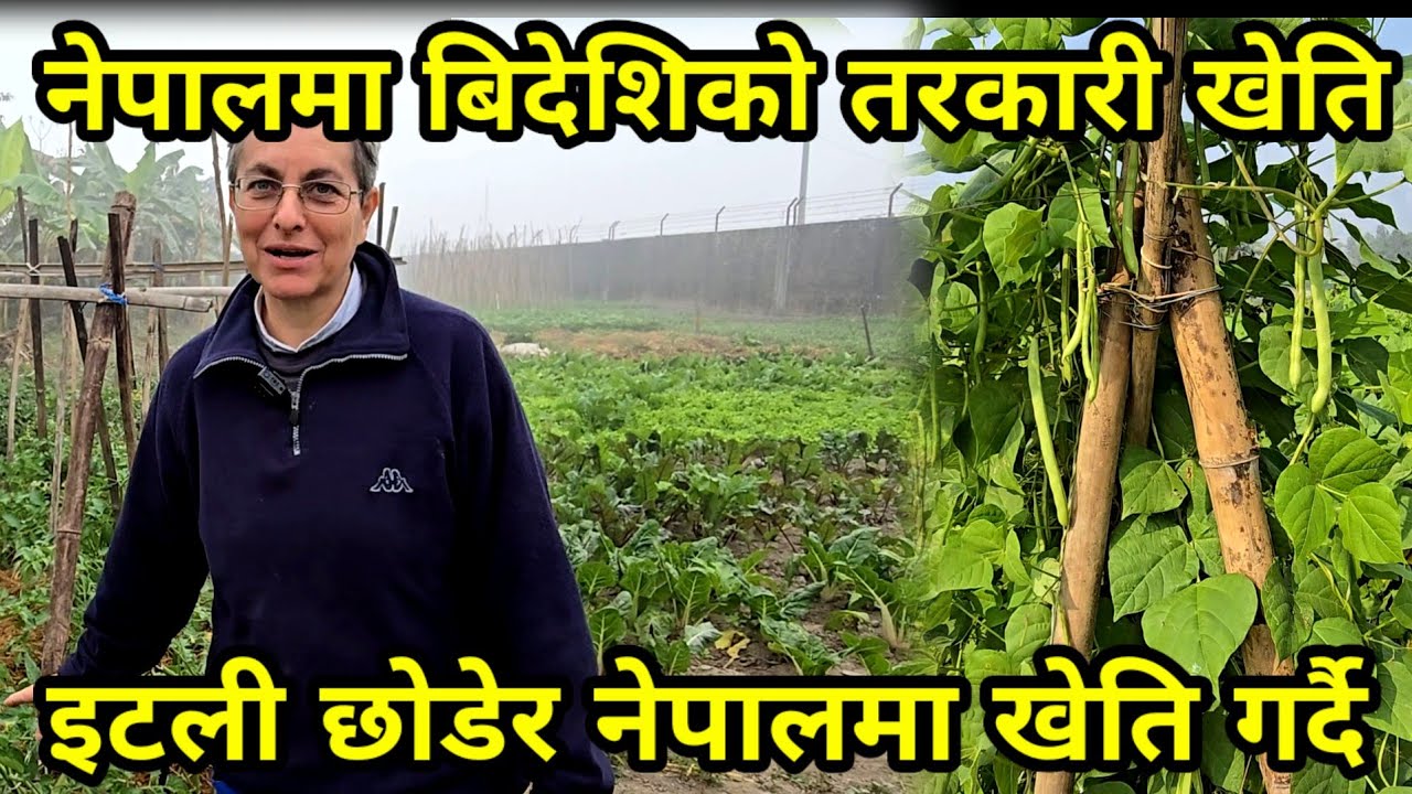 इटली छोडेर नेपालमा तरकारी खेती गर्दै Mari , नेपालि बोलेर डल्लो पर्ने गरि हसाउदै ITALY TO NEPAL