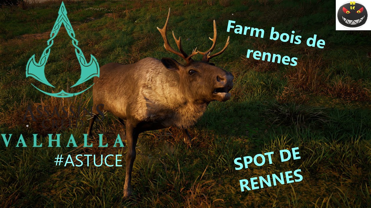 #ASTUCE, Farm bois de renne. SPOT DE RENNES. Assassin's Creed Valhalla
