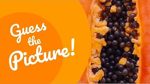 Guess the Picture | Ep. 4