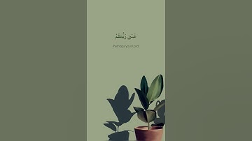 ﴿ تُوبُوا إِلَى اللَّهِ تَوْبَةً نَّصُوحًا ﴾ | ماهر المعيقلي - سورة "التحريم" #شاشه_سوداء #quran