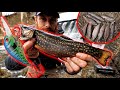 Spillway Fishing for TROUT! (limiting out!)