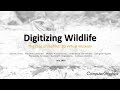 Digitizing Wildlife: The case of reptiles 3D virtual museum