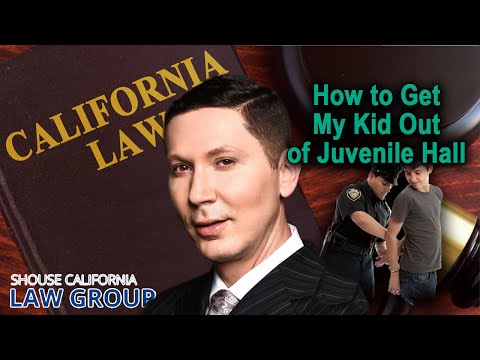 Legal Analysis: How to get my kid out of juvenile hall in California? class action lawsuit philippines