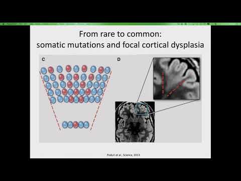 Individualised Treatments for
