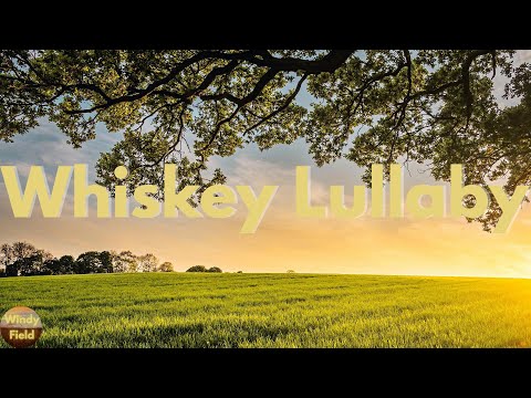 Brad Paisley -