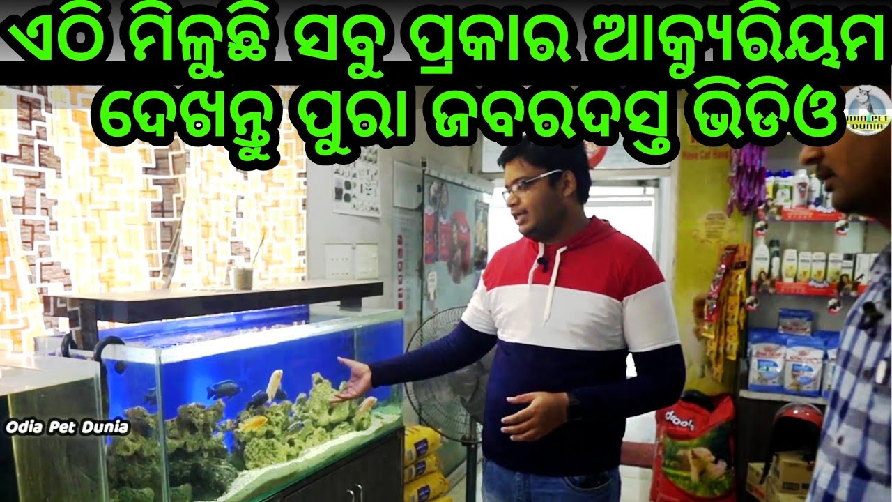 Best Aquarium fish, filters, fish food, planted, aquascpe all sale in