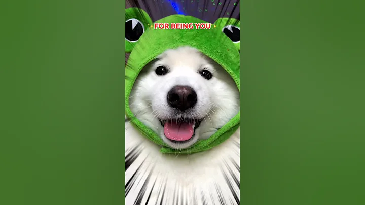 Send this to your Bestie 👑 #funny #cute #puppy #dogsofinstagram #tiktok #dog ib:pepelefuqyou