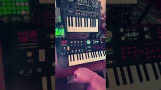 Five Mile River #polyendsynth #hydrasynth #1010musicblackbox #synthstromdeluge