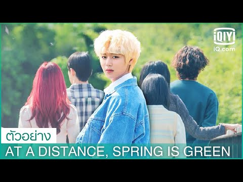 ตัวอย่าง | At a Distance, Spring is Green ซับไทย | iQiyi Thailand