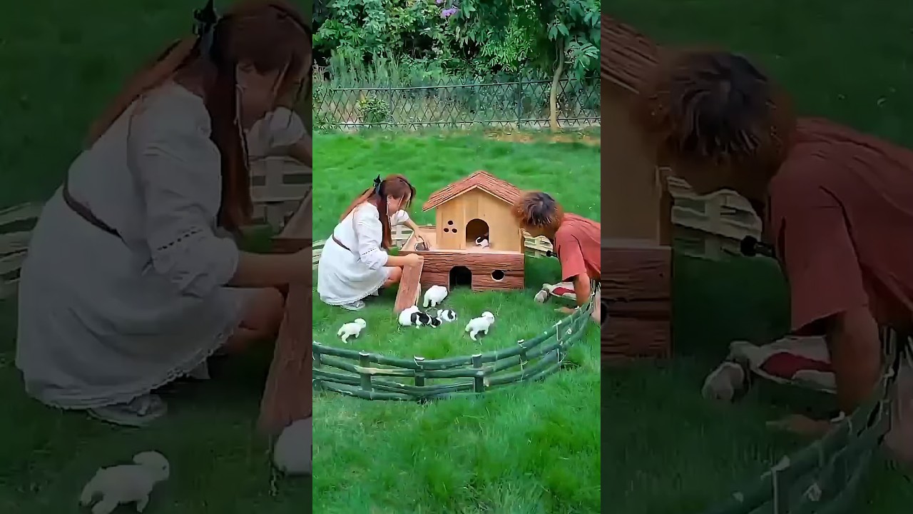Original Title & Thumbnail
