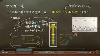 おうち生物　29 . サンガー法　（高校生物）