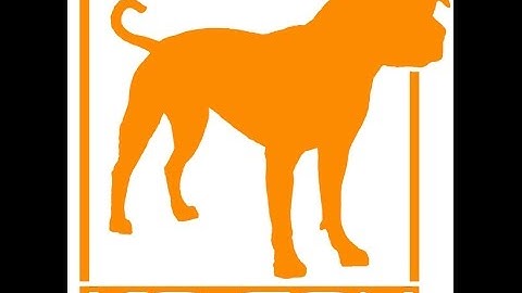 Less Stress More Success - Counter Conditioning Dogs to Dogs On Leash