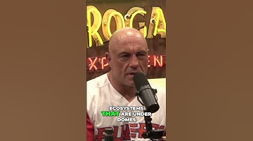 elon musk talks about Terraforming Mars  Creating Earth Like Conditions for Future Colonization