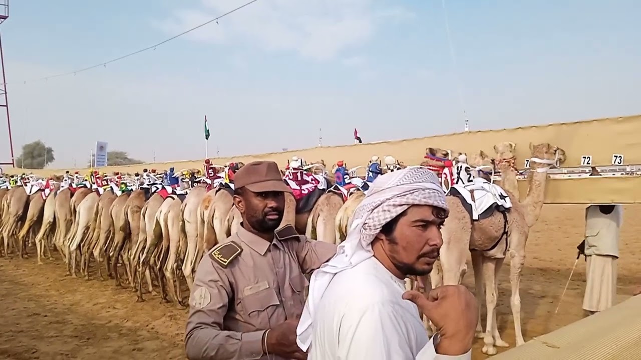 #automobile #tranding #animals