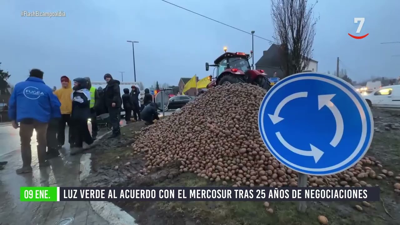 Flash El campo al día (09/01/2026): Luz verde al acuerdo con el Mercosur tras 25 años de negociación