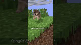 Minecraft Anak Anjing Lucu