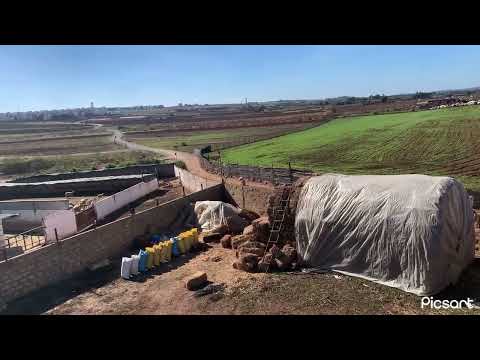 لخرطال كيطعطل باش ينوض اما شعير دغيا كينود