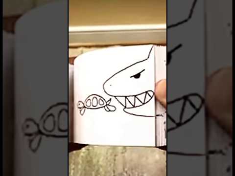 Shark FlipBook 😱