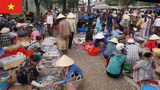 The Real Beauty of Vietnam 🇻🇳 | A Journey Through Local Markets & Traditional Culture