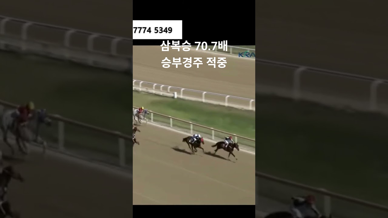5월 22일 부산 6경주 승부경주 삼복승 적중 #경마 #horse #삼복 #경마분석