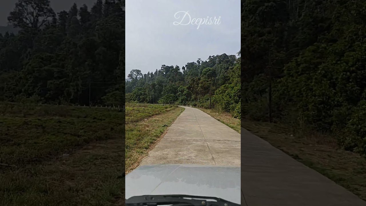 Mandalpatti peak karnataka | Best place in karnataka | Coorg jeep ride | Coorg tourist places 