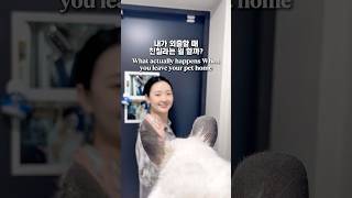츄의 이중생활