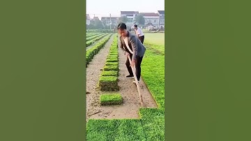 Digging green turf process  #constructionchannel #automobile #machinerychannel