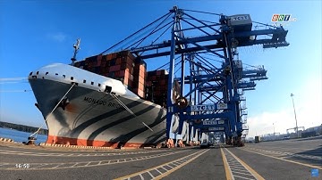 Nguồn nhân lực cảng biển và logistics tỉnh Bà Rịa - Vũng Tàu (Cảng biển BR-VT)