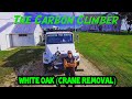 White oak crane removal with the Carbon Climber