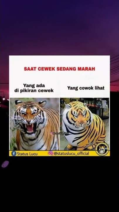 story wa 30 detik | saat cewek sedang marah