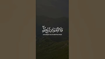 ولا تايسوا من روح الله #القرآن_الكريم #تلاوة_خاشعة #كرومات_قرآن #راحة_نفسية #اكسبلور #شاشه_سوداء