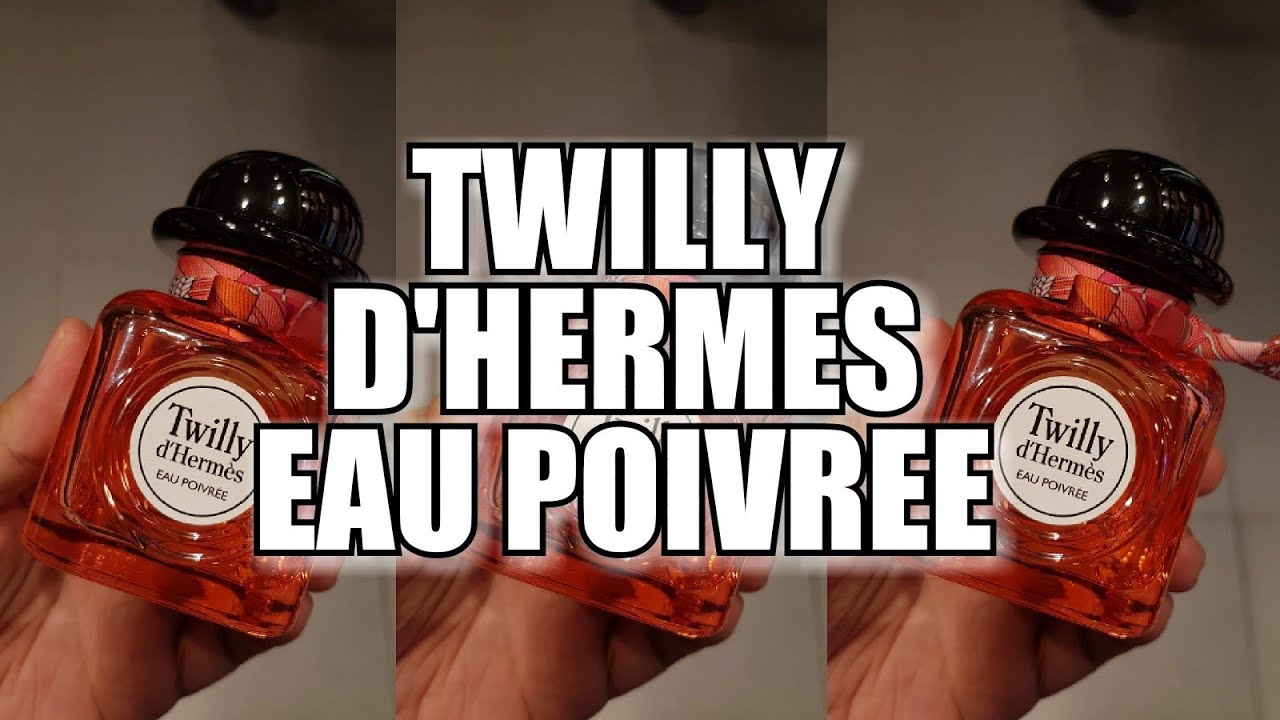 hermes twilly 2019