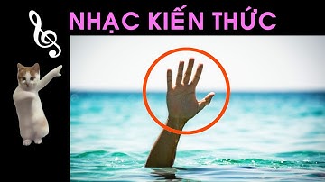 NHẠC - Dòng Chảy Xa Bờ Là Gì / NHẠC KIẾN THỨC / Tổng Hợp 1 #giaidieukienthuc