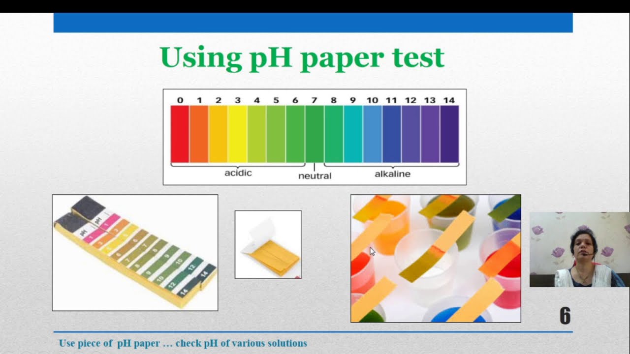 pHmetrydr.suchetasinteractiveclas9804 YouTube