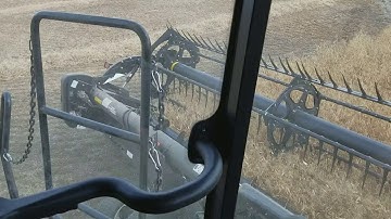 CR9060 Combining peas with a macdon fd70.