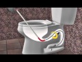 How To Unclog A Toilet