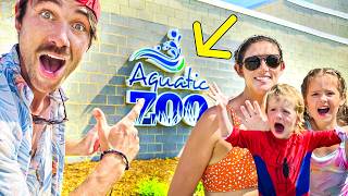 Aquatic Zoo Night Swim!