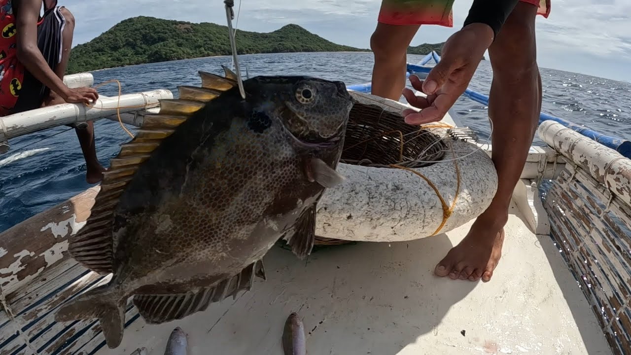 11K Makamandag Na Pamain