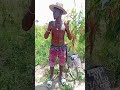 Lugenzi Lichadi Njeshi 