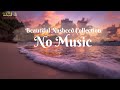 Beautiful Nasheed Collection No Music Longing For Prophet Muhammad ﷺ Ya Rasulallah Heart Touching