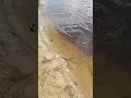 #комары #рыбалка #снасти #мелкота
