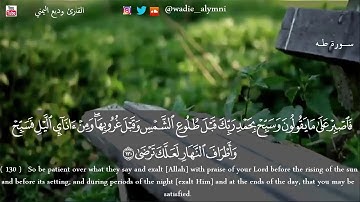 ذكر الله علاج لأرواحنا المتعبة 🌸 تلاوة حجازية جميلة للقارئ وديع اليمني